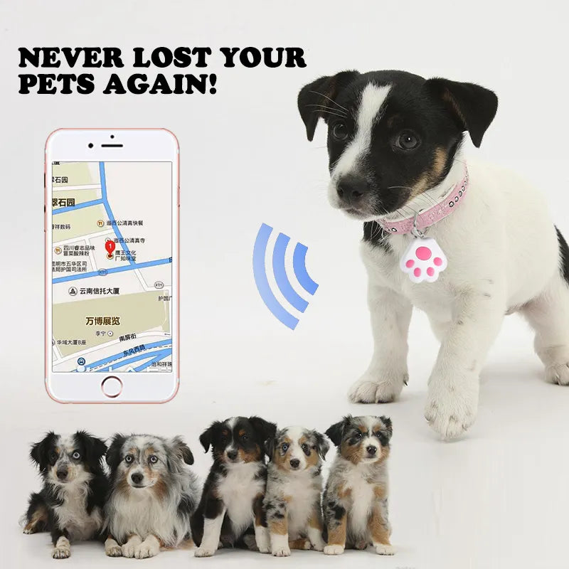 Pet Claw Mini Gps Collar Key Tracker